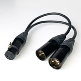 Microphone Y-Adapter Cable XLR5F to XLR3M AC-20